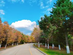 -长春世界雕塑园冰雪艺术天地