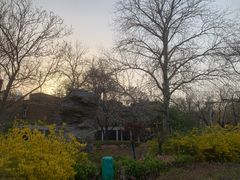 -睦南公园