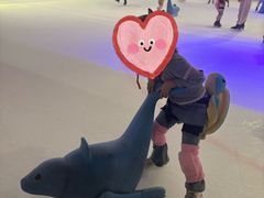 -TheRink大零溜冰场(IFS国金中心店)