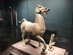 -广西壮族自治区博物馆