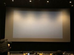 -百美汇影城(LUXE嘉里中心店)