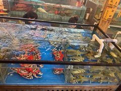 水产区-猪肉婆私房菜(容桂总店)
