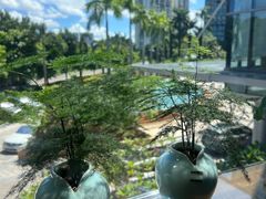 -海湾壹品·粤菜·早茶·烤鸭(拱北店)