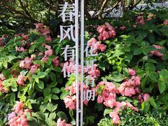 -云溪植物园