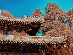 -潭柘寺景区
