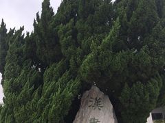 -卧龙岗文化园-南阳市汉画馆