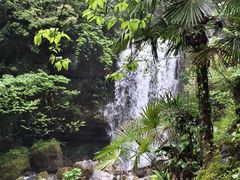-鹿院坪生态旅游景区