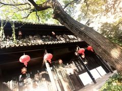 -南京市民俗博物馆(甘熙故居)