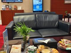 -郑州新郑国际机场T2航站楼-贵宾厅B区