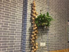 -新繁老號豌豆汤饭店·江湖菜(宝光寺店)