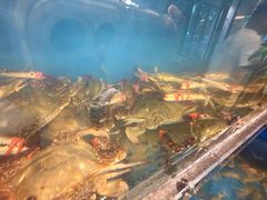 -华盛丰温州大排档(东三环南路店)