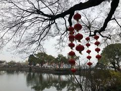 -无锡蠡湖国家湿地公园-蠡园