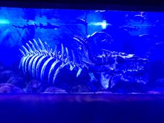 -波塞冬旅游度假区