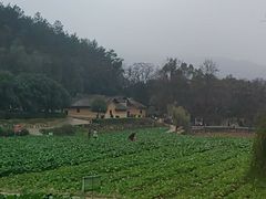 -韶山毛泽东同志故居