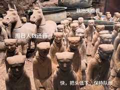 -徐州博物馆
