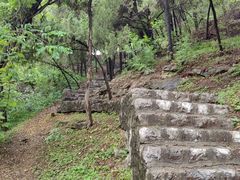 -原山国家森林公园