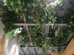 -金塔傣乡·云南民族特色菜·傣味手抓饭(金瓦路店)