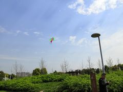 -九里河湿地公园