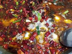 -万宝宝芝林(北辰店)