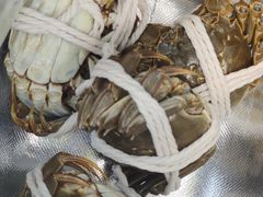 -阳澄湖大闸蟹·琼灵阁牌品牌连锁(吴中总店)