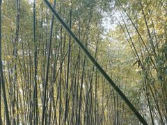 -河南省黄河迎宾馆