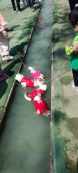 -上美四季动物农场