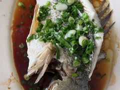 -田源农家饭店·窑鸡王·海鲜(东部湾·融创店)