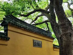 -西园戒幢律寺