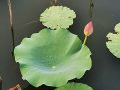 -上海市保健医疗中心