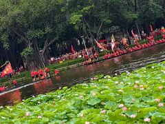 -荔湾湖公园