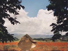 -长白街手工水饺(秣陵路店)