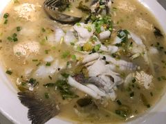 鲜椒豆花鲈鱼-川味堂·四川豆花(八卦岭店)