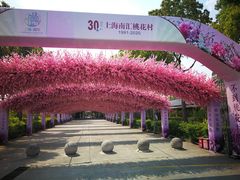 -南汇桃花村
