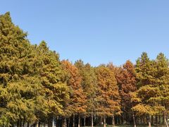 -苏州湾体育公园