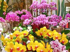 -良友花店(天目山路店)