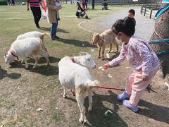 -前小桔亲子创意农场·草莓采摘·露营烧烤