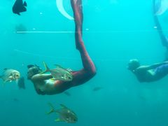 -瑞德姆美人鱼海底演艺主题餐厅(亚龙湾店)