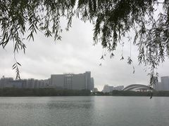 -天鹅湖体育公园