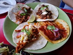 -Cactus墨西哥仙人掌餐厅