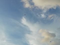 -天河体育中心游泳馆
