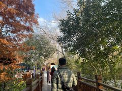 -溱湖国家湿地公园