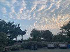 -贡湖湾湿地公园