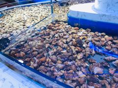 -澜悦港海鲜体验主题餐厅