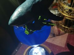 -鸡尾酒实验室酒吧(隆礼路店)