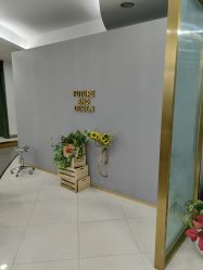 -八佰伴8008星级形象店