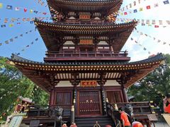 -庐山风景名胜区-东林大佛