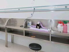 -派美特宠物医院·核磁CT·骨科肿瘤·疑难转诊(沈农禾丰店)