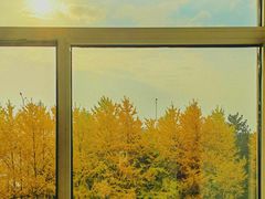 -西北湖绿化广场