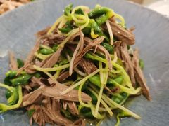 黑豆芽拌腐竹-国力仁和川菜(李家村店)