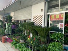 -南汇花鸟市场(上海浦东新花卉店)